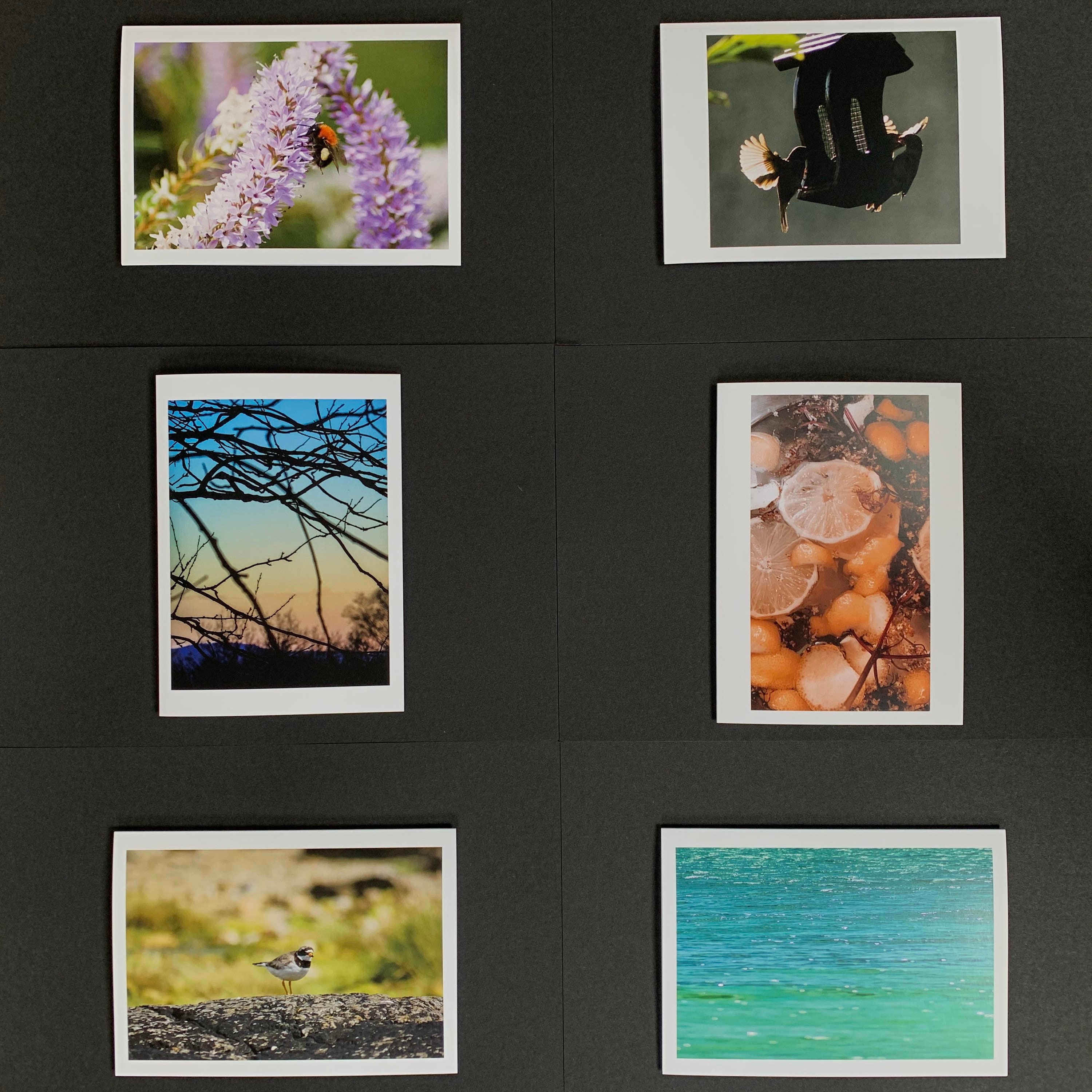 Photographic Greeting Cards Etsy