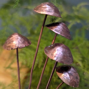 May include: A collection of five mushroom-shaped sculptures crafted from hammered copper. Each piece features a rounded, metallic cap with a textured, reflective surface attached to a thin, straight copper stem, creating a vertical arrangement.