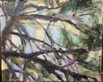 Branches and Blue Sky
