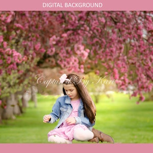 Cherry Blossom digital background