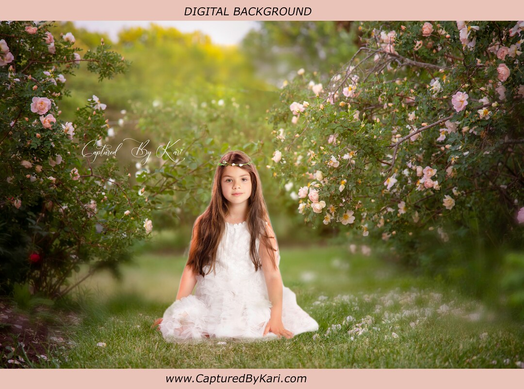 Rose Garden Digital Background - Etsy