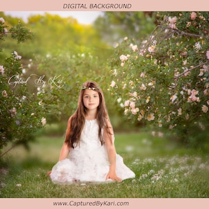 Rose garden digital background