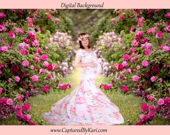 Rose Garden Digital Background