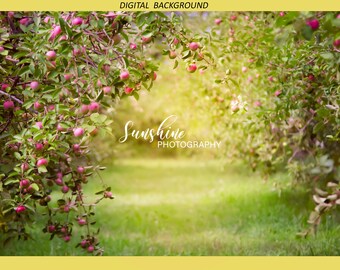 Apple Orchard digital background