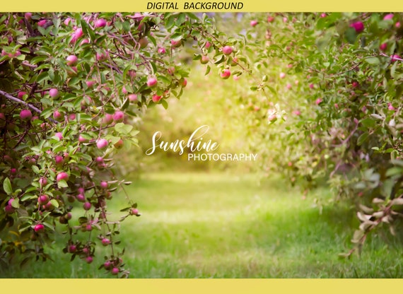 Apple Orchard Digital Background - Etsy