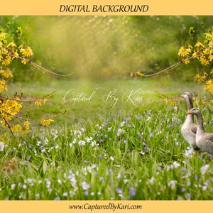 Spring Meadow Bluebells and Yellow Bushes Digital and geese Photography/Photoshop Background, Photoshop Composite