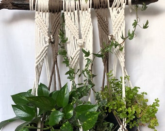 Triple Plant Hanger