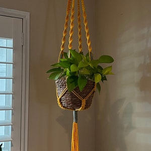 Pode incluir: Um suporte de planta de macramê amarelo com uma planta verde em uma cesta tecida pendurada em um gancho de teto.