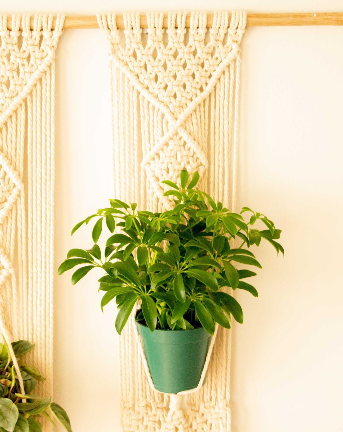 Wall Plant Hanger / Macrame Plant Hanger / Wall Decor/ Plants Etsy