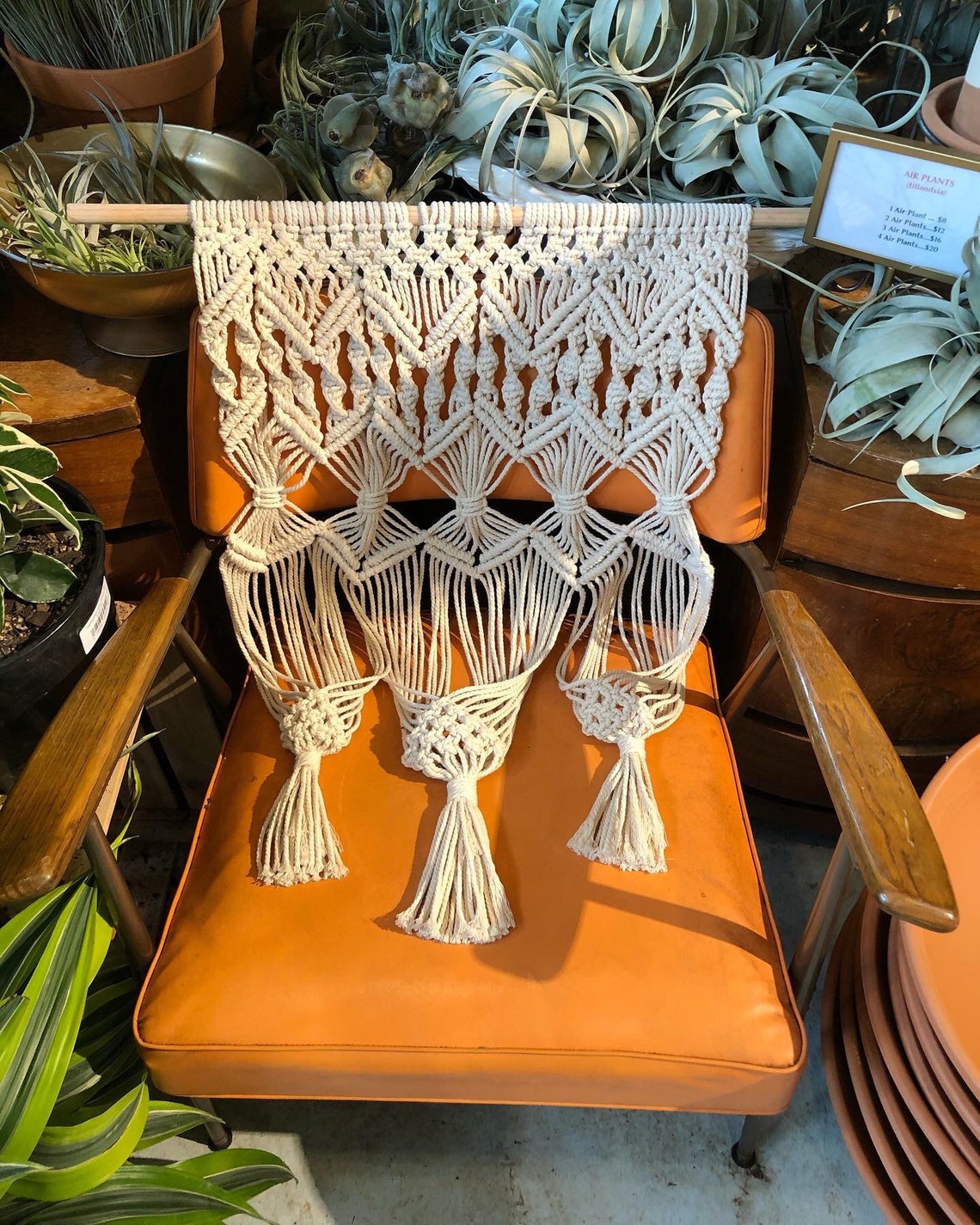 Wall Plant Hanger / Macrame Plant Hanger / Wall Decor/ Plants / Planter / Gift / Geometric