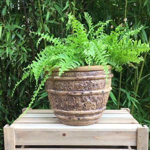 May include: A large, brown, textured ceramic planter filled with vibrant green ferns. The planter has a barrel-like design with embossed details and is sitting on a wooden crate, with a backdrop of bamboo.