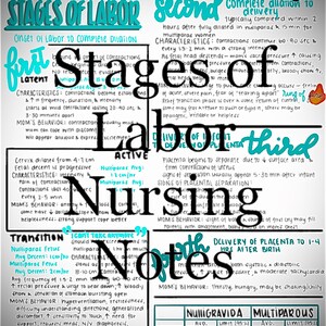 May include: A colorful chart with handwritten notes about the stages of labor and delivery. The chart includes information about the duration of each stage, the characteristics of contractions, and the mother's behavior. The chart also includes a section on nursing notes and a table comparing the average duration of labor for nulligravida and multiparous women.