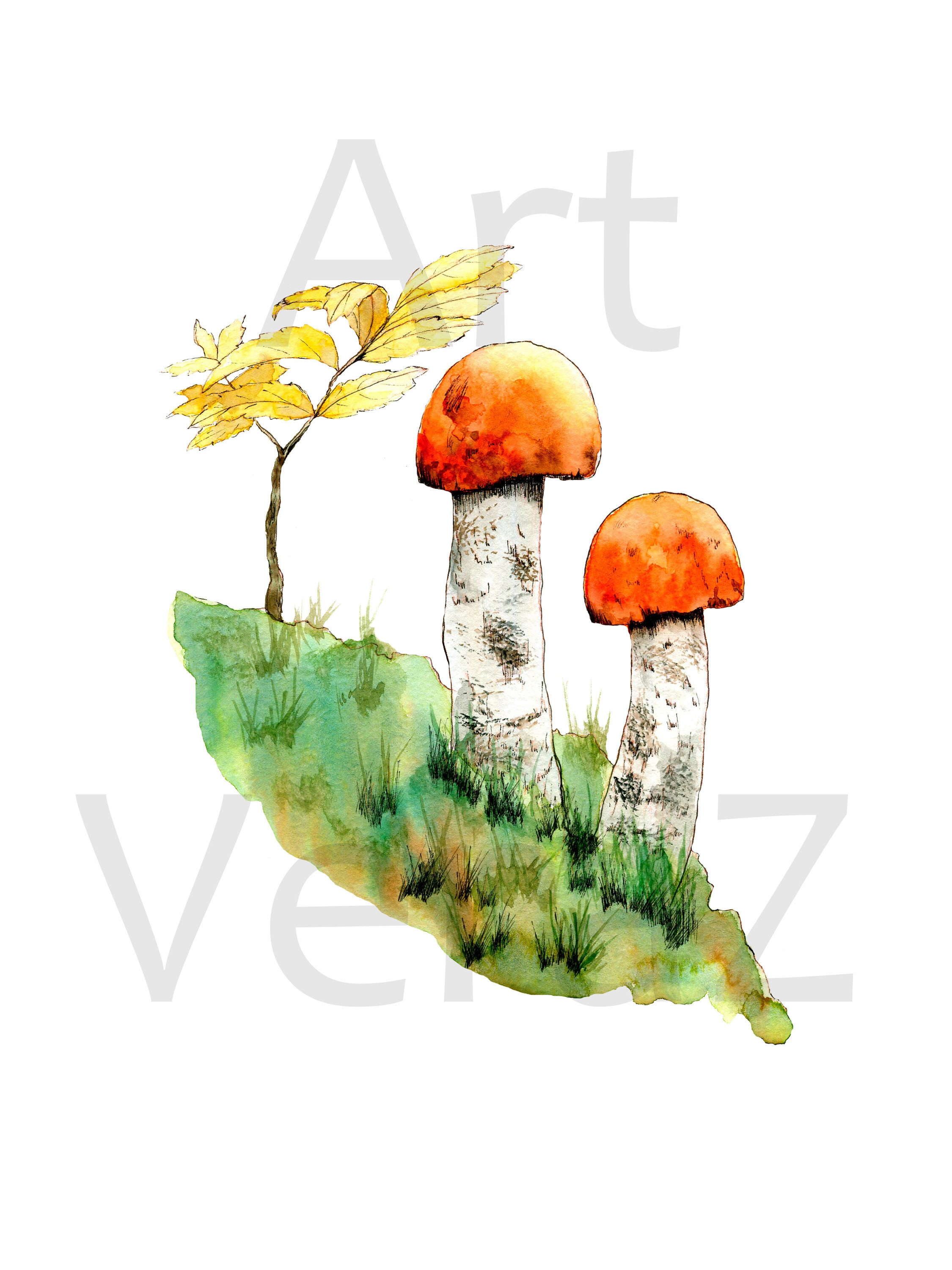 Mushroom watercolor print red-capped scaber stalk printable | Etsy