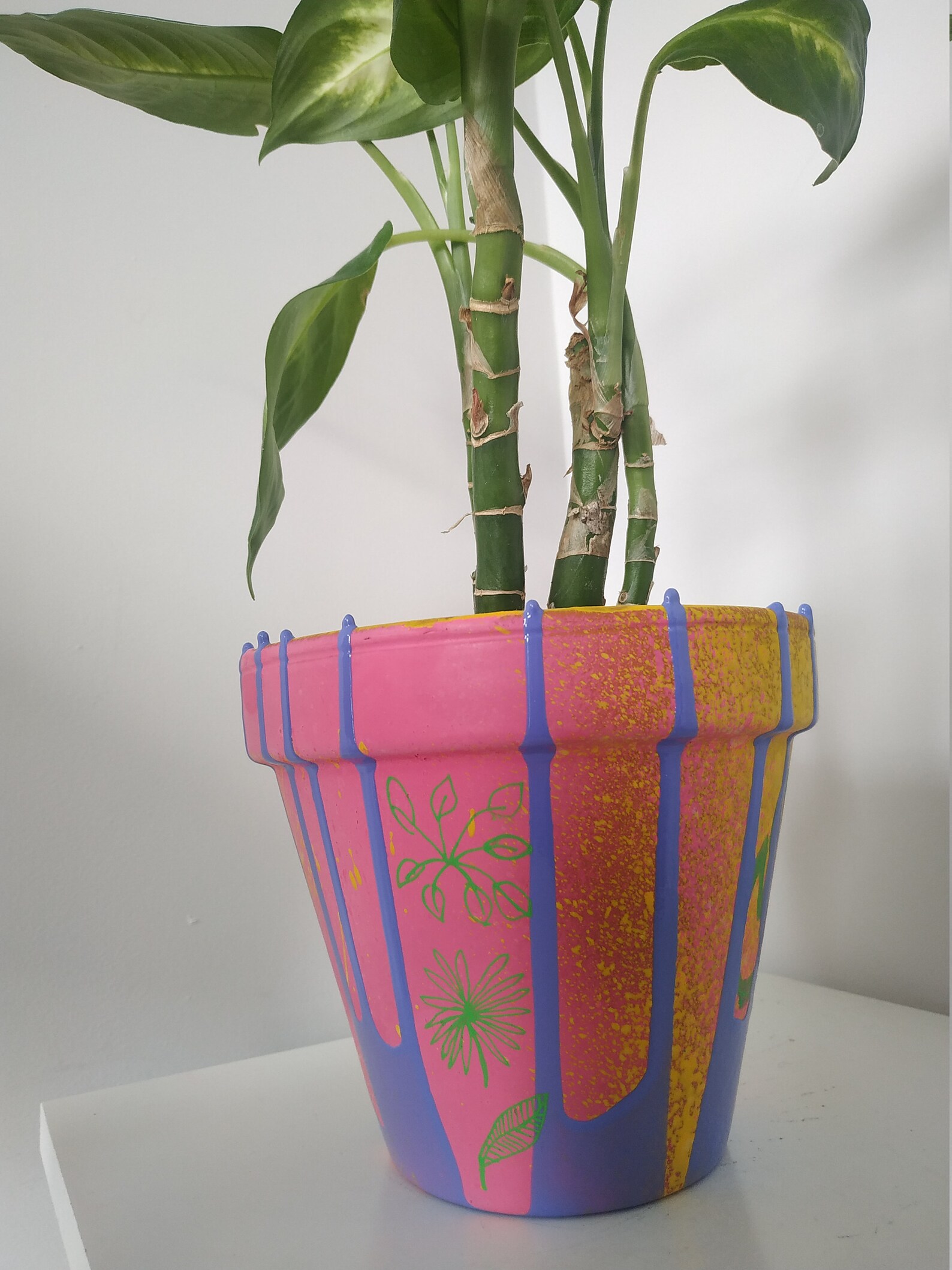Funky Indoor Plant Pots
