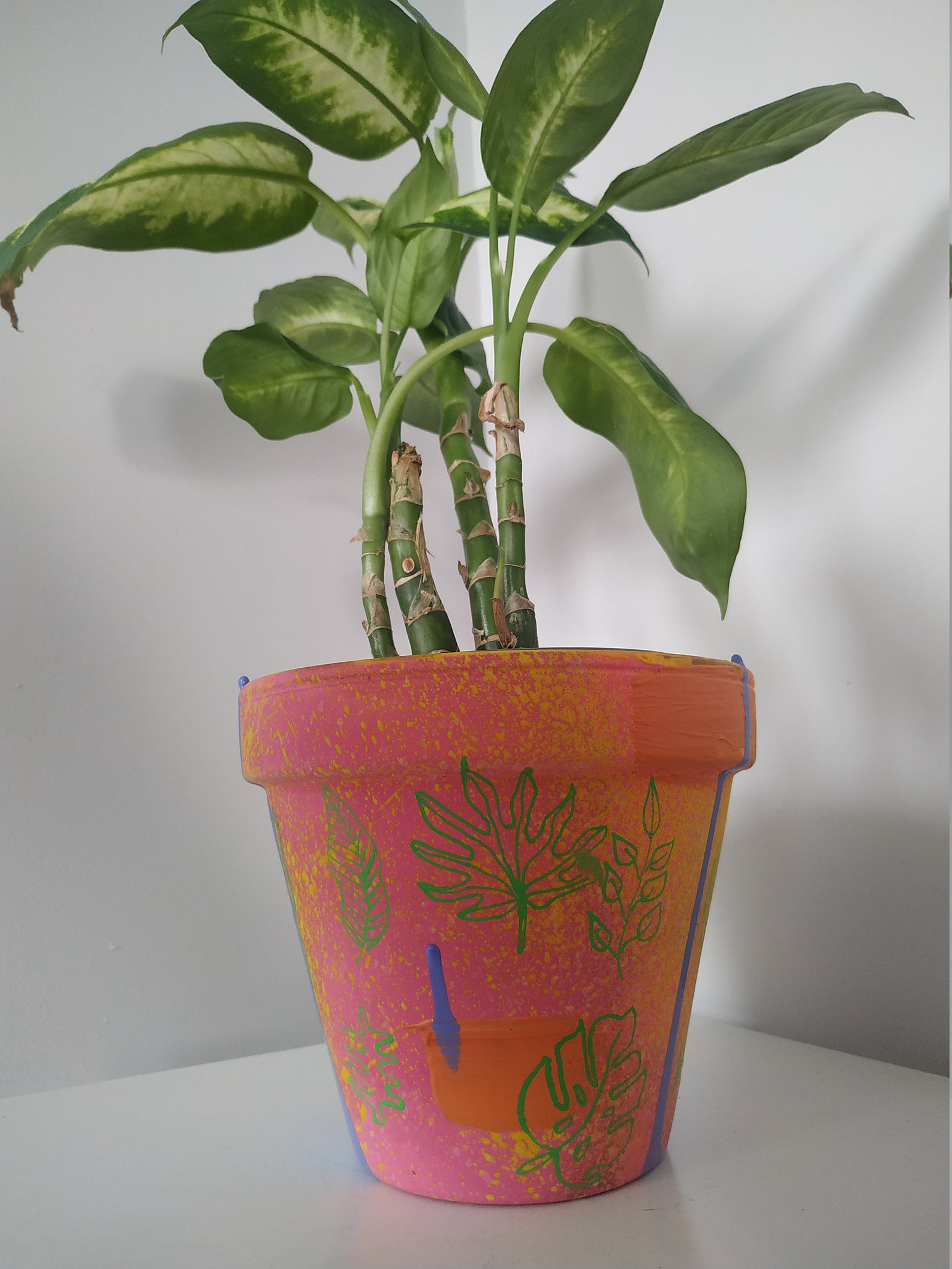 Funky Indoor Plant Pots