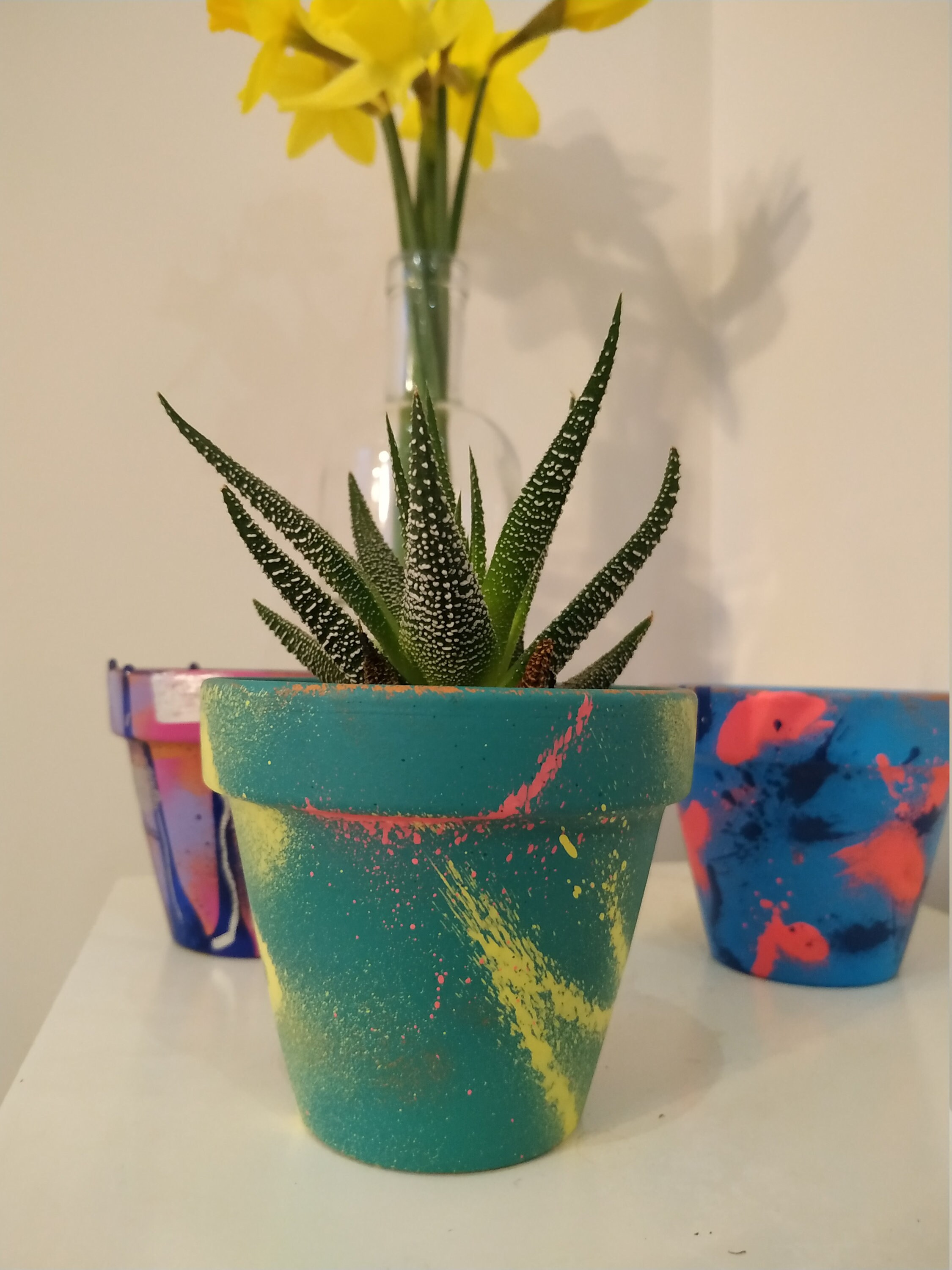Funky indoor decorative cactus plant pot Etsy
