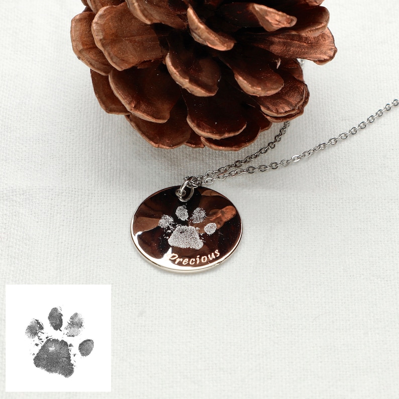 May include: Silver necklace with a round pendant featuring a paw print and the word "Precious" engraved on it. The pendant is hanging from a silver chain.