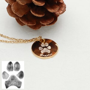 May include: Gold necklace with a round pendant featuring a paw print and the name "Braxter" engraved on it.