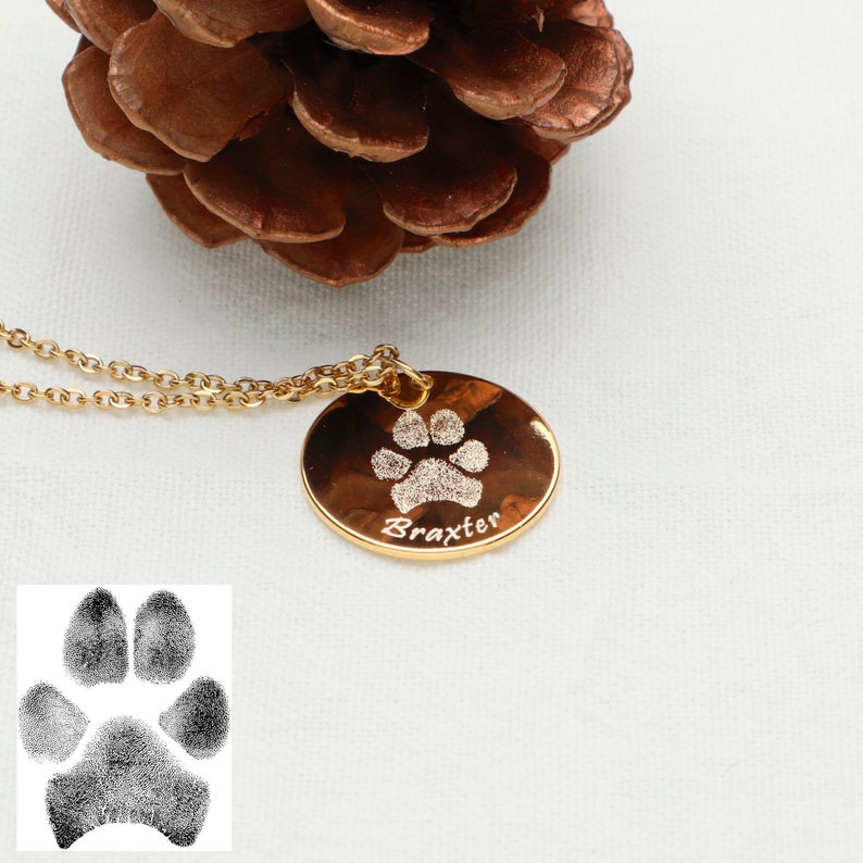 May include: Gold necklace with a round pendant featuring a paw print and the name "Braxter" engraved on it.
