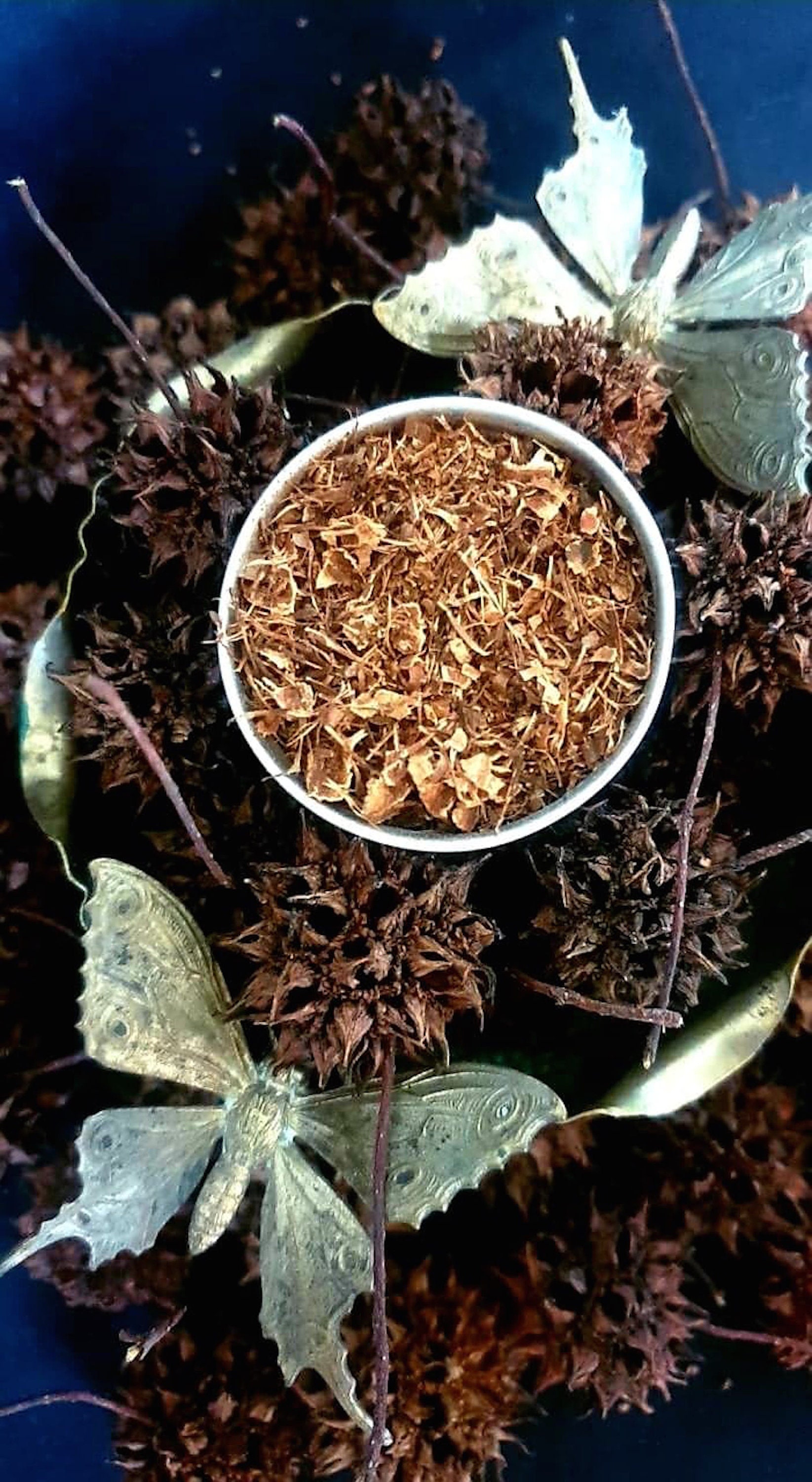 Witch Burrs Powder Poudre de Boules Sorcière en Fiole