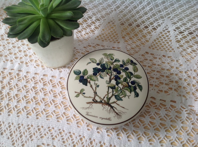 Candy Porcelain Jewelry Box Villeroy Boch Vaccinium myrtillus