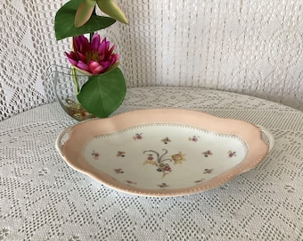 Limoges France Porcelain Serving Plate Basket Bowl Vintage Polychrome Floral Decoration