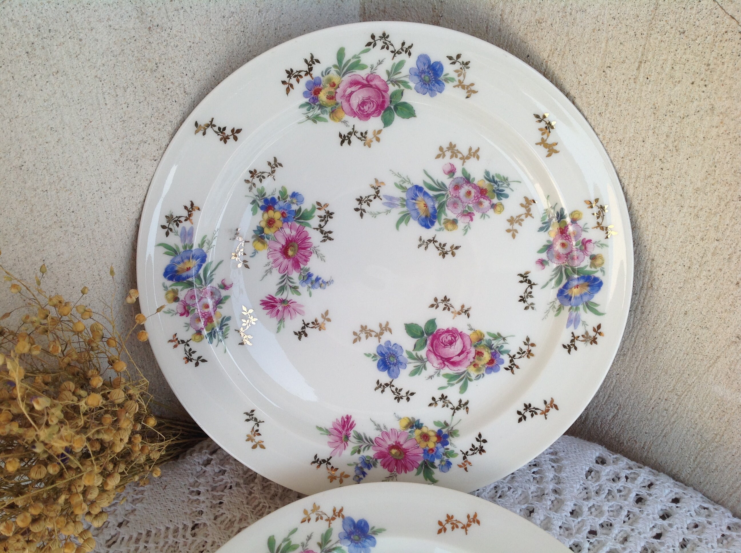 Limoges France 6 Assiettes en Porcelaines Salmon & Cie Belle Assiettes Porcelaine Décor Fleuri et Do