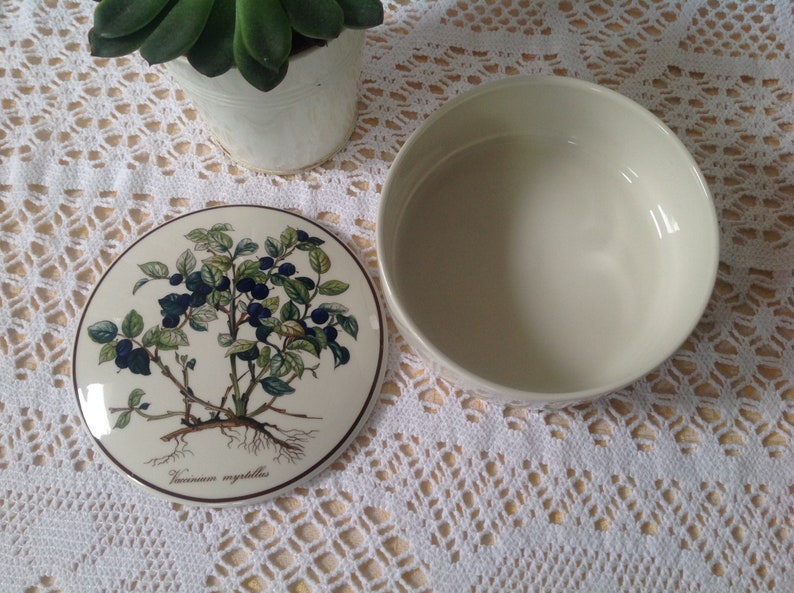 Candy Porcelain Jewelry Box Villeroy Boch Vaccinium myrtillus