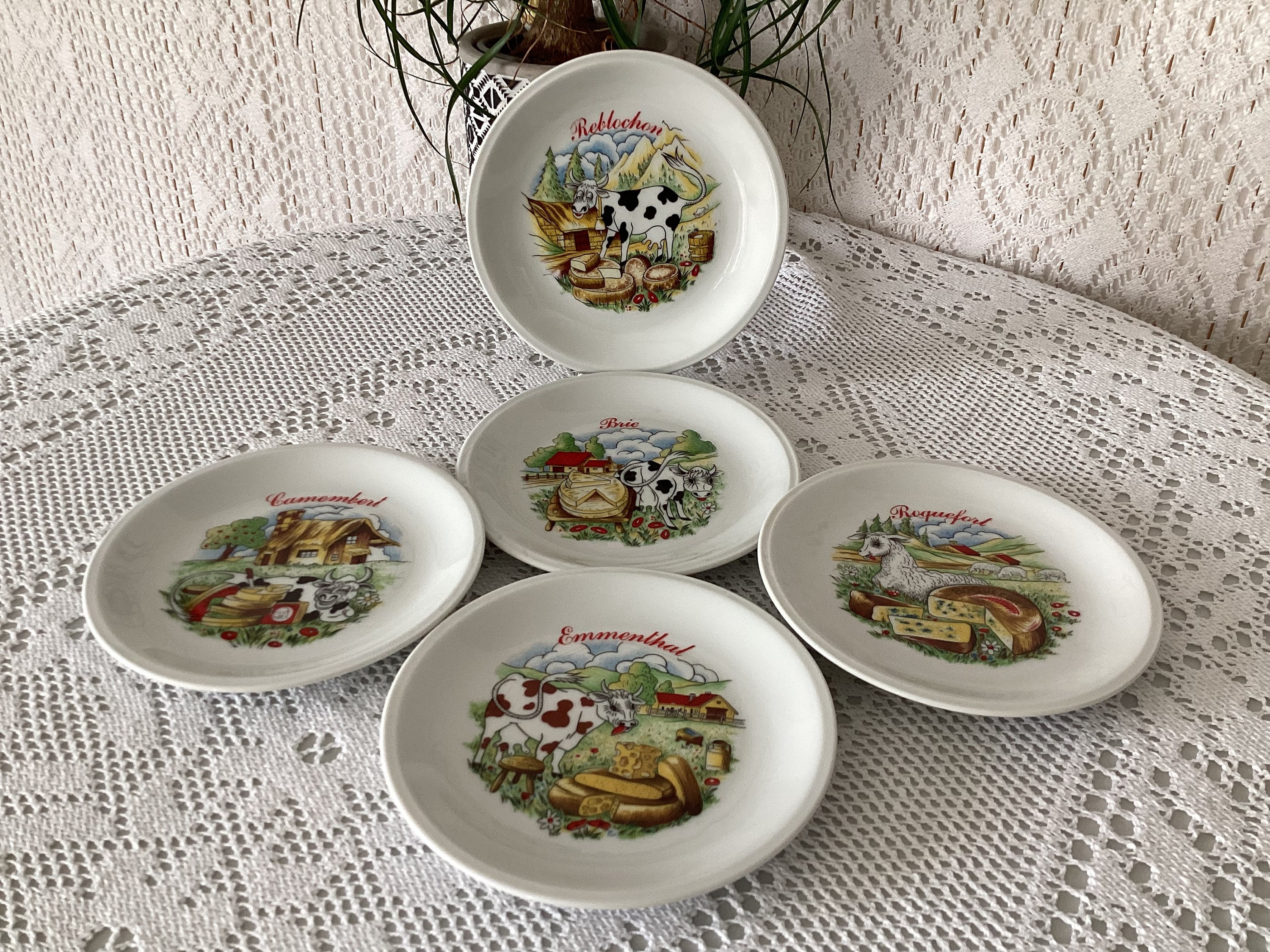 新品未使用】PORCELAINE DE SOLOGNE リモージュ 6枚セット 新品・未