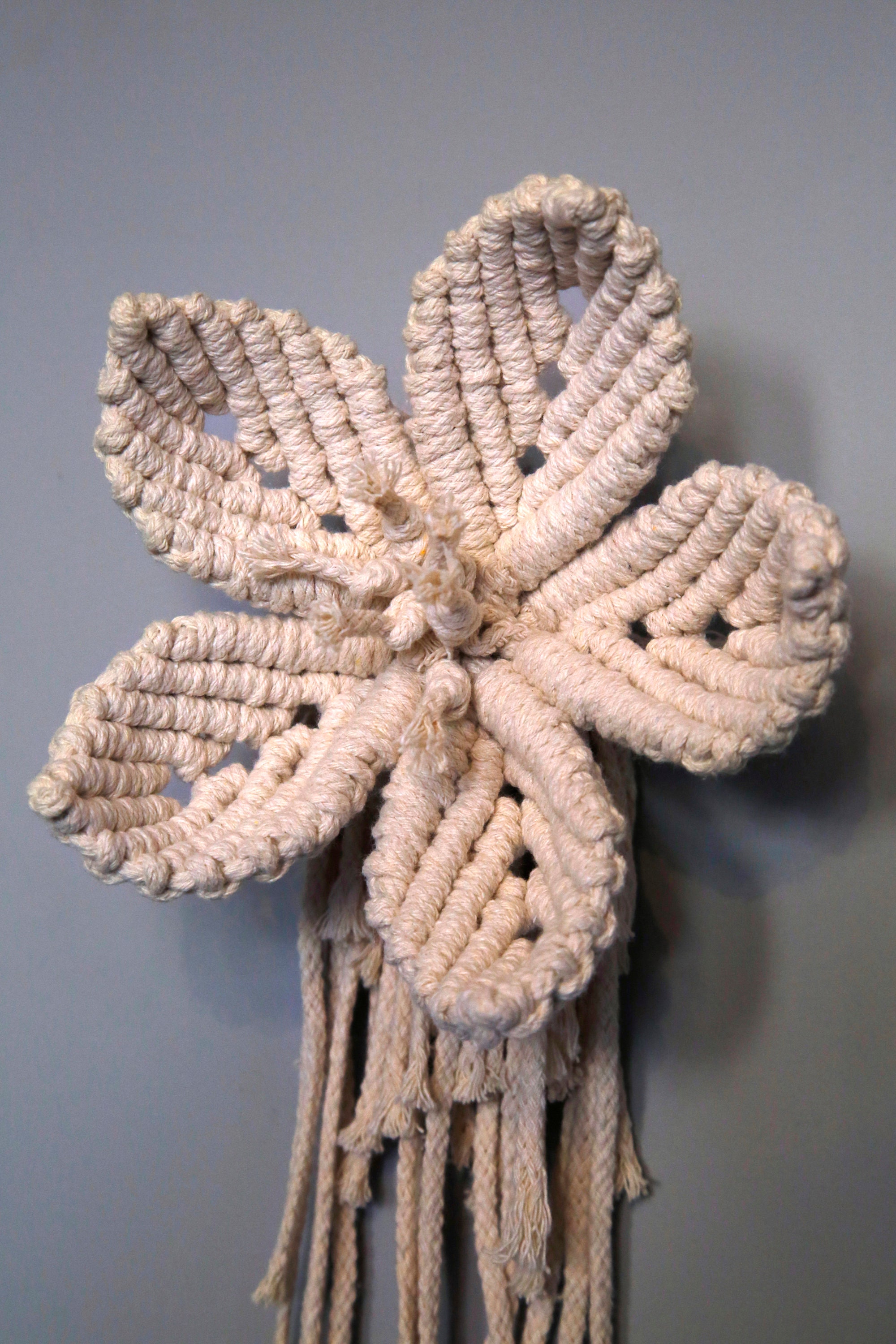 DIY Macrame Kit Spring Flower Decoration Do It Yourself Etsy
