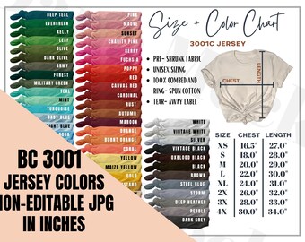 Download Bella Canvas 3001 Color Chart Etsy