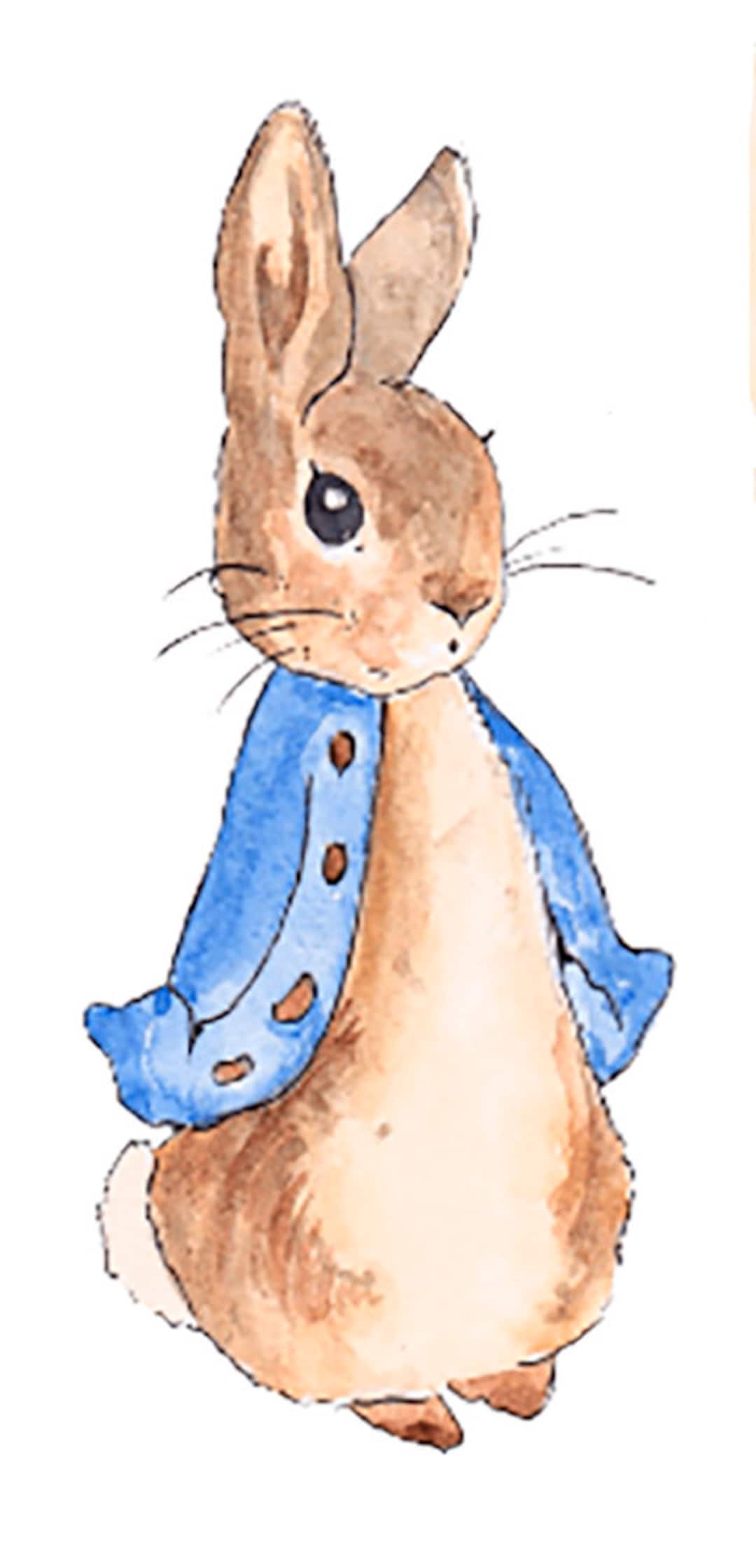 Peter Rabbit Vinyl Decal Sticker Digitally Cut Just Peel and