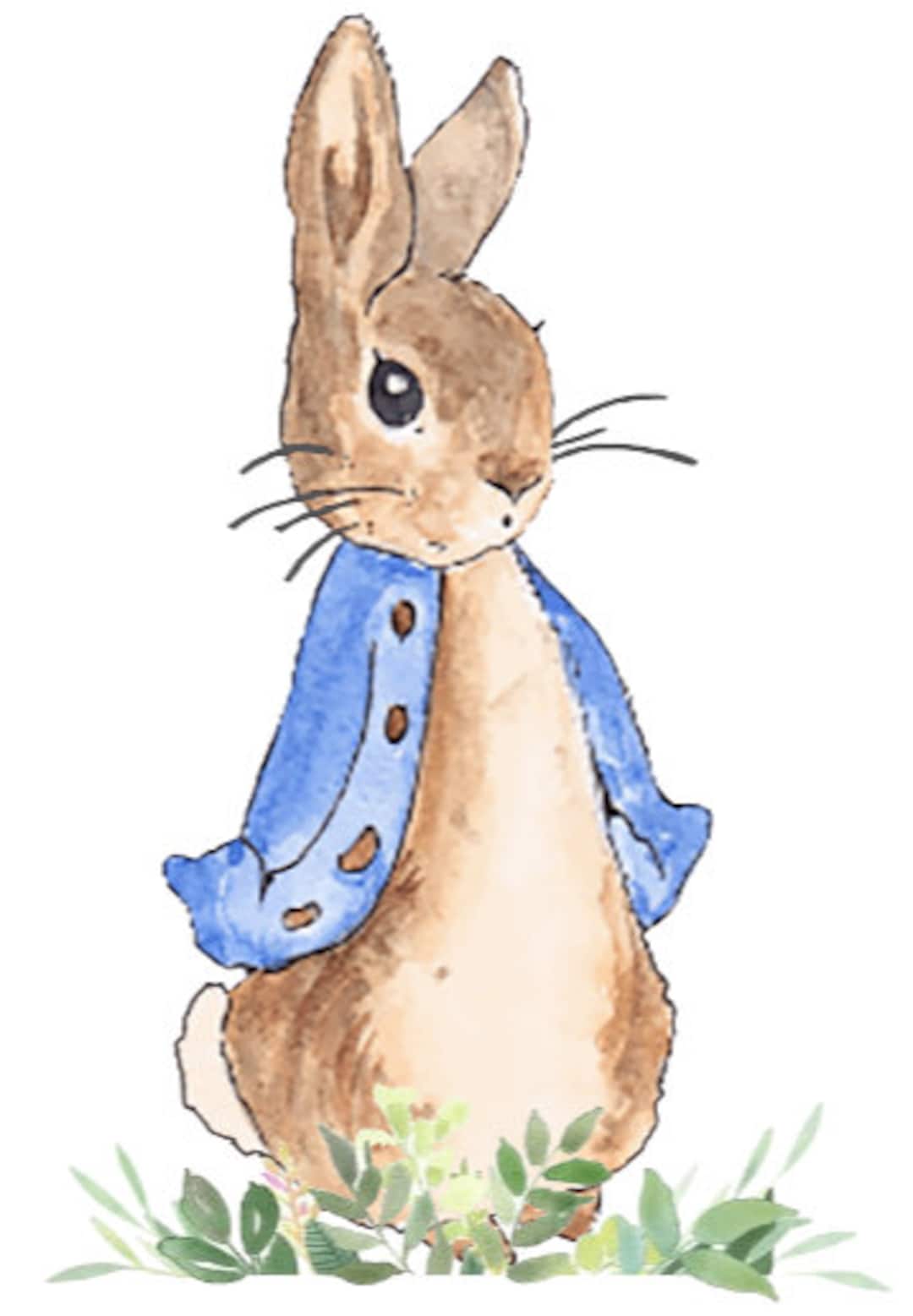 Peter Rabbit Vinyl Decal Sticker Digitally Cut Just Peel and