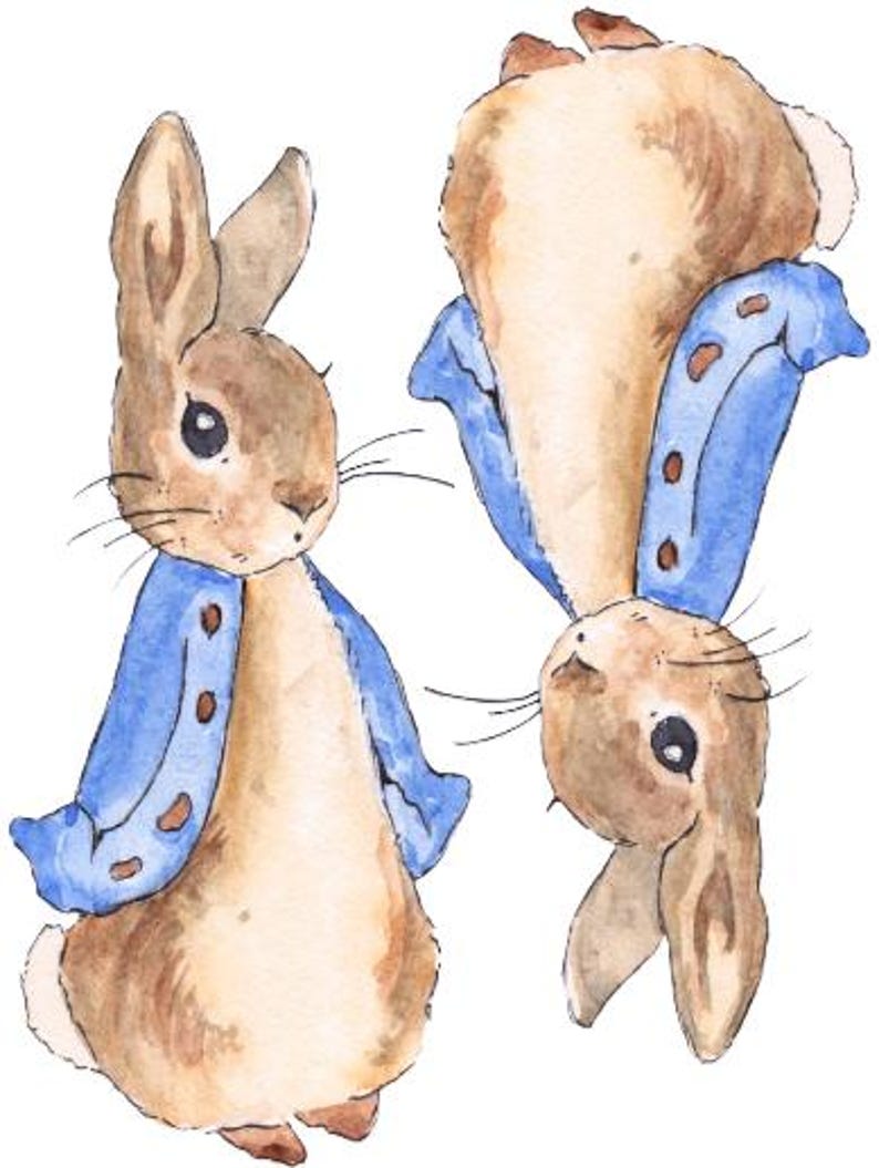 Peut inclure: Deux lapins bruns portant des vestes bleues avec des boutons blancs. Les lapins sont tourn&eacute;s dans des directions oppos&eacute;es. Un lapin est debout, tandis que l'autre est &agrave; l'envers.