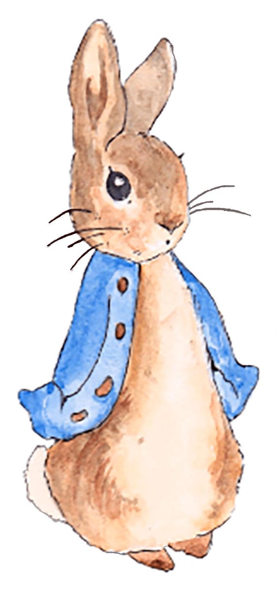 Gorgeous Peter Rabbit vinyl decal sticker Digitally cut - just peel and stick 2 sizes EITHER  two  6" stickers or one  8" sticker