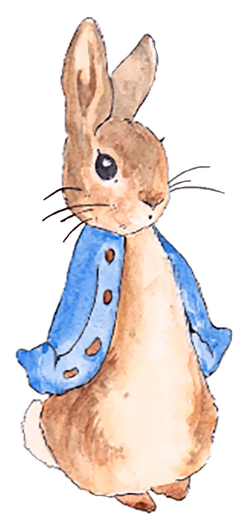 Peut inclure: Une illustration aquarelle d'un lapin brun portant une veste bleue. Le lapin a de longues oreilles et une queue touffue.