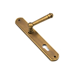 May include: A brass door handle with a rectangular backplate and a rounded lever. The handle has a keyhole and a decorative knob on the lever.