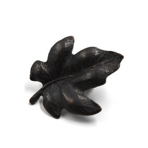 May include: A black metal leaf-shaped door knob or pull.