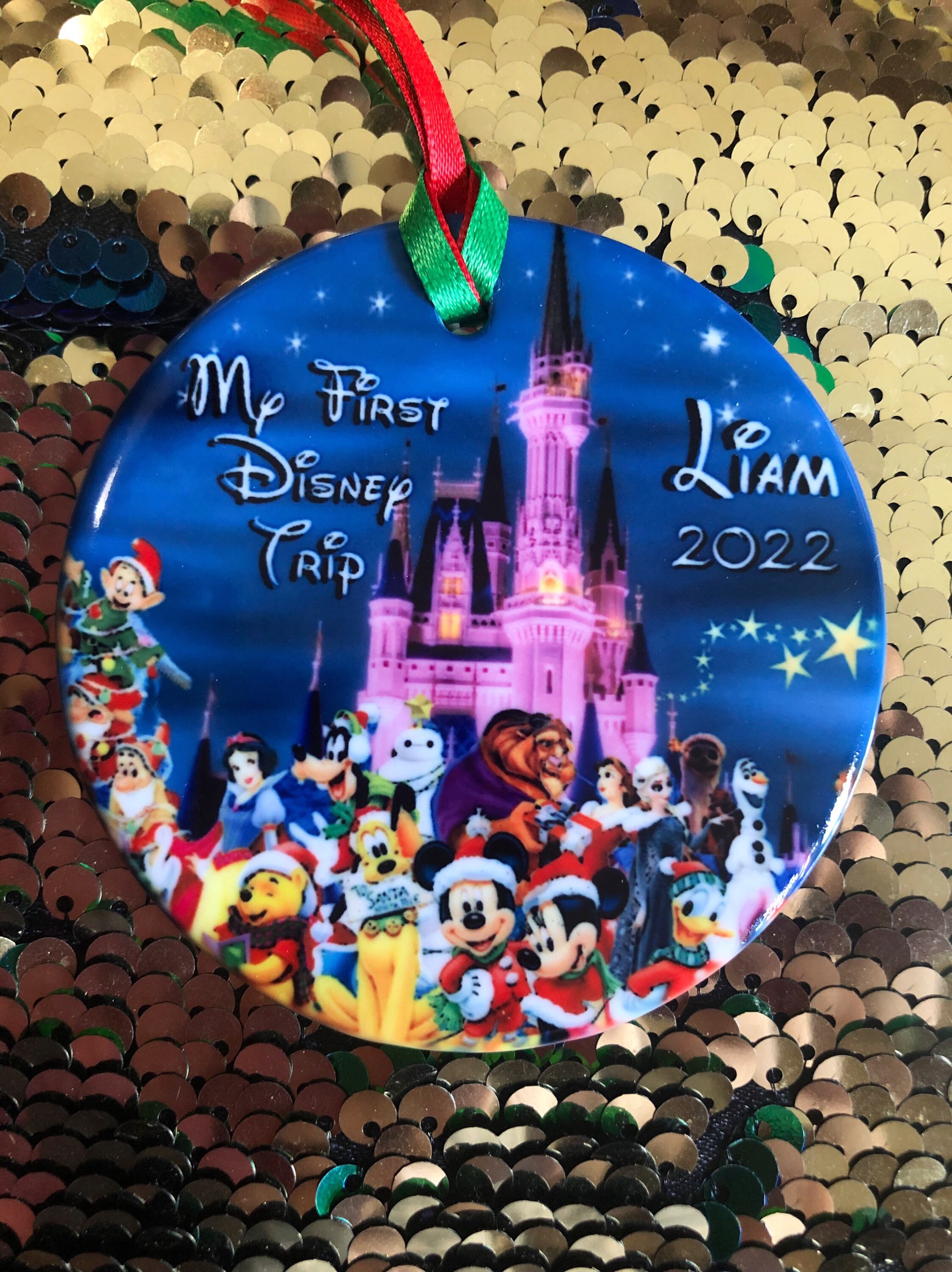Discover Christmas 2022 Custom Disney ornament, My first Disney Trip 2022