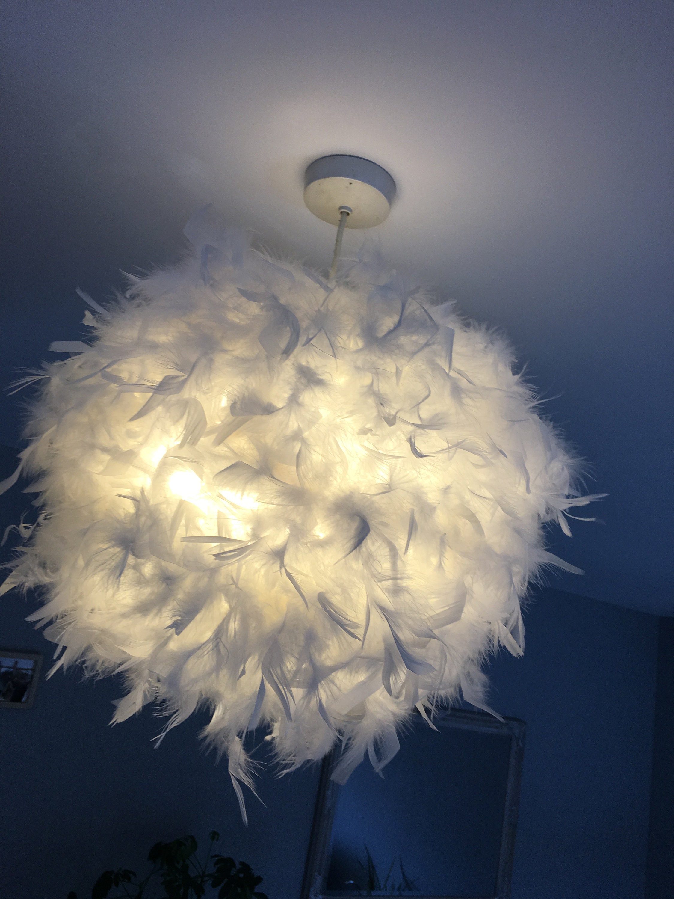 Feather 2024 lightshade white