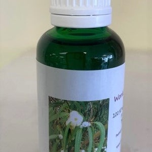 WorldScents 1oz Flasche Eukalyptus Pure Aromatherapy Ätherisches Öl 100% (30 ml)