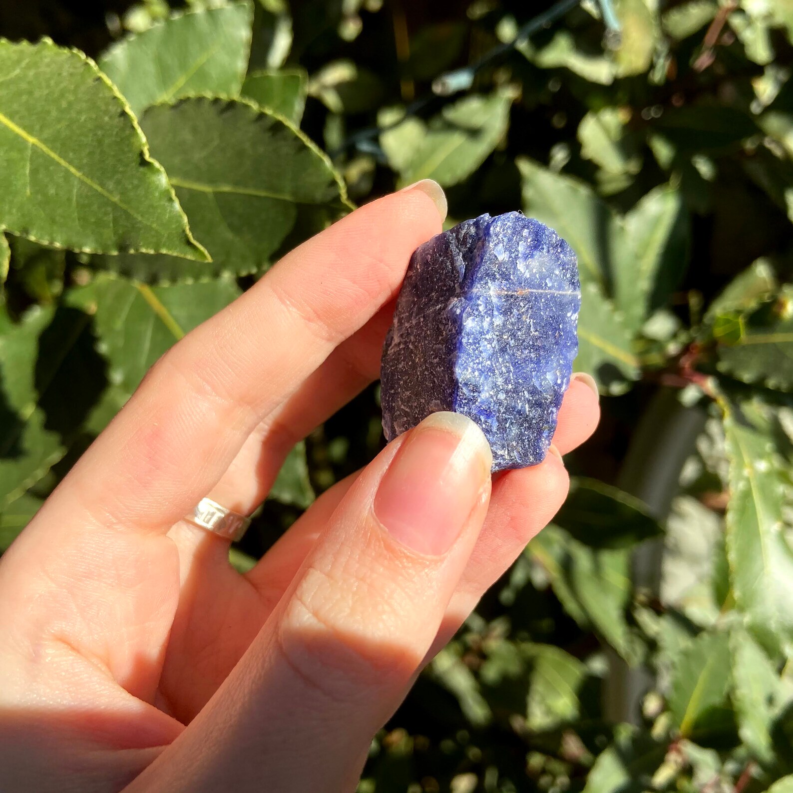 Rough Sodalite Crystal Pieces Ethically Sourced Crystals Etsy