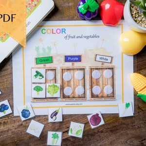 Kleur sorteren druk boek afdrukbaar. Kleurmatchingsspel, voorschoolse drukke binder, peuteractiviteiten, voorschools leerplan