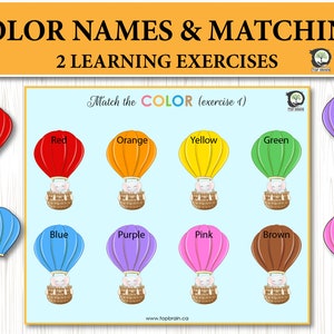 Color Learning Busy Book, Toddler Activity Printable, Preschool Curriculum, Montessori Toddler Quiet Book Page, Kids Activity