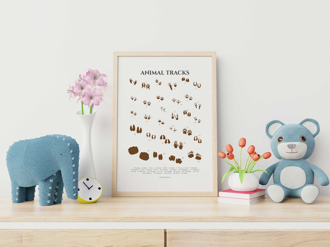 Animal Tracks Educational Posters Wall Art Footprints | Etsy