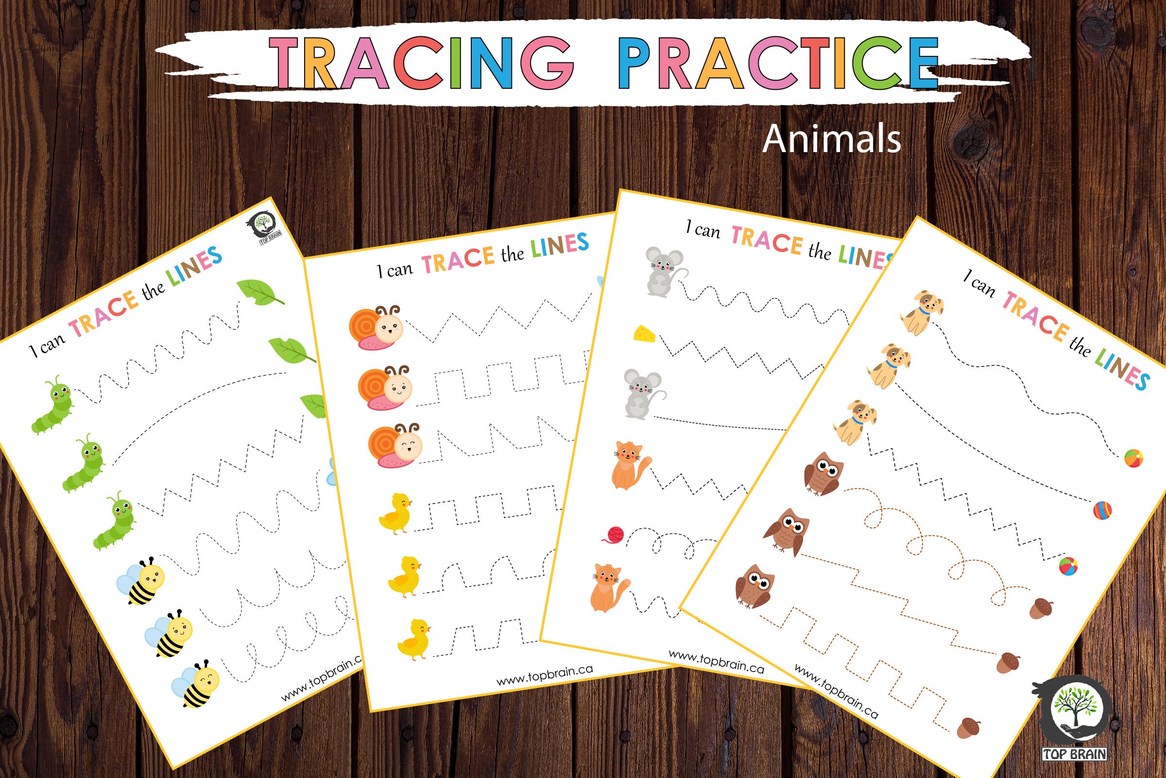 Tracing practice worksheets pdf preschool busy binder etsy