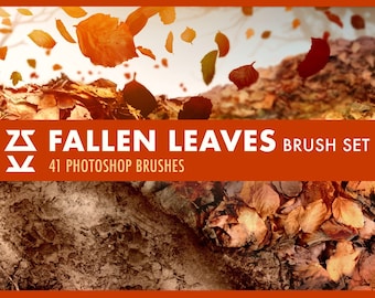 May include: A set of 41 Photoshop brushes featuring fallen leaves in various shades of brown, orange, and yellow. The brushes are perfect for adding a touch of autumn to your digital art.