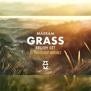 May include: A set of 21 Photoshop brushes for creating realistic grass textures. The brushes are designed to create a variety of grass types, from short and delicate to tall and lush. The brushes are perfect for creating natural-looking landscapes, backgrounds, and other designs.