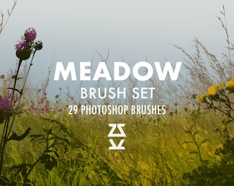 Puede incluir: Un conjunto de 29 pinceles de Photoshop con flores y hierbas de pradera. Los pinceles están diseñados para crear efectos realistas y naturales en el arte digital.