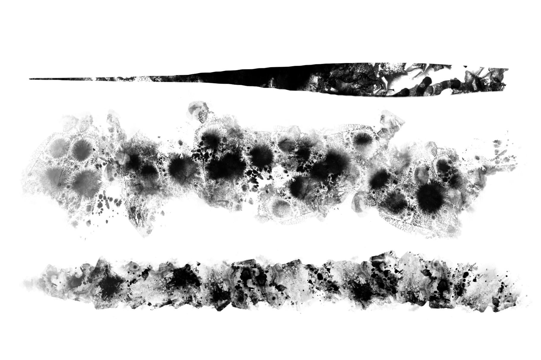 Ink '21 Brush Set | Procreate | Photoshop | CSP | Texture Brushes - Etsy